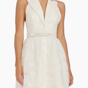 Dress the population ivory white lace dress